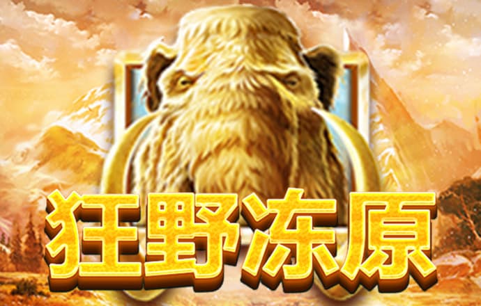 沙漠狙击手中文版